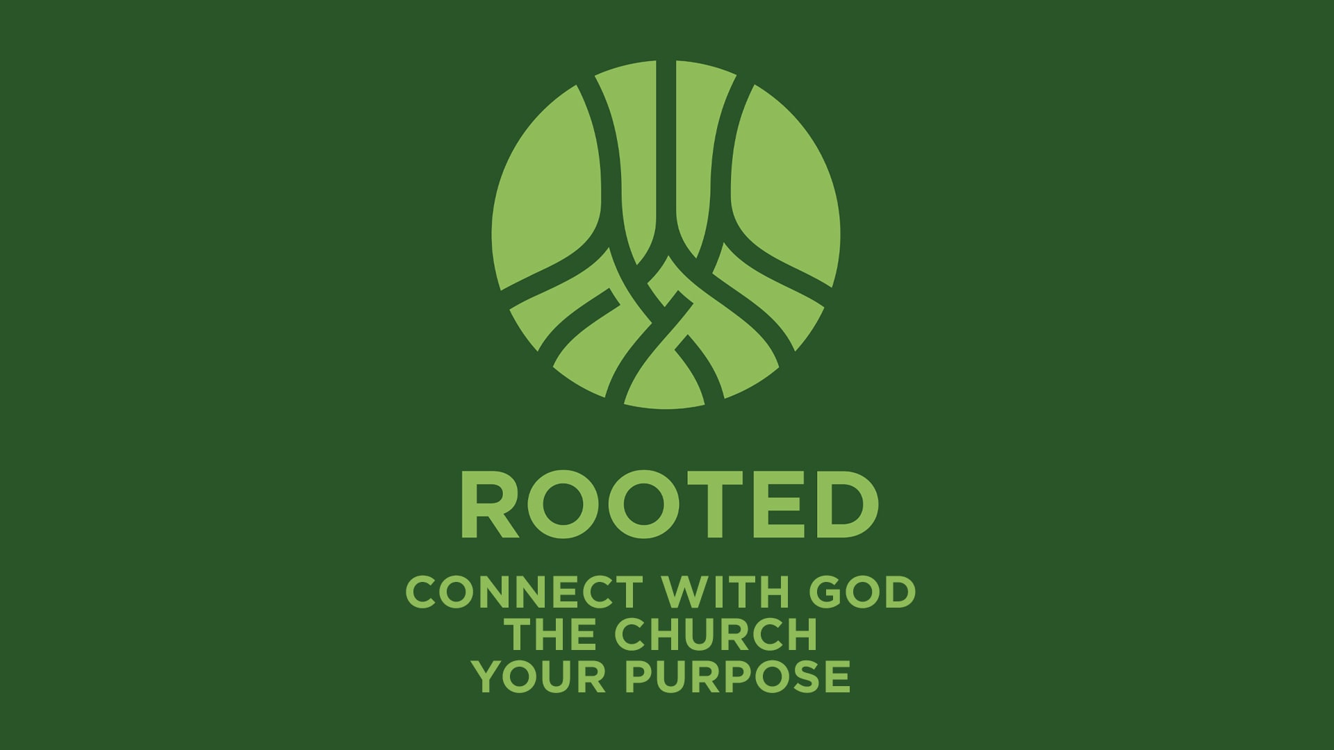Rooted Picture