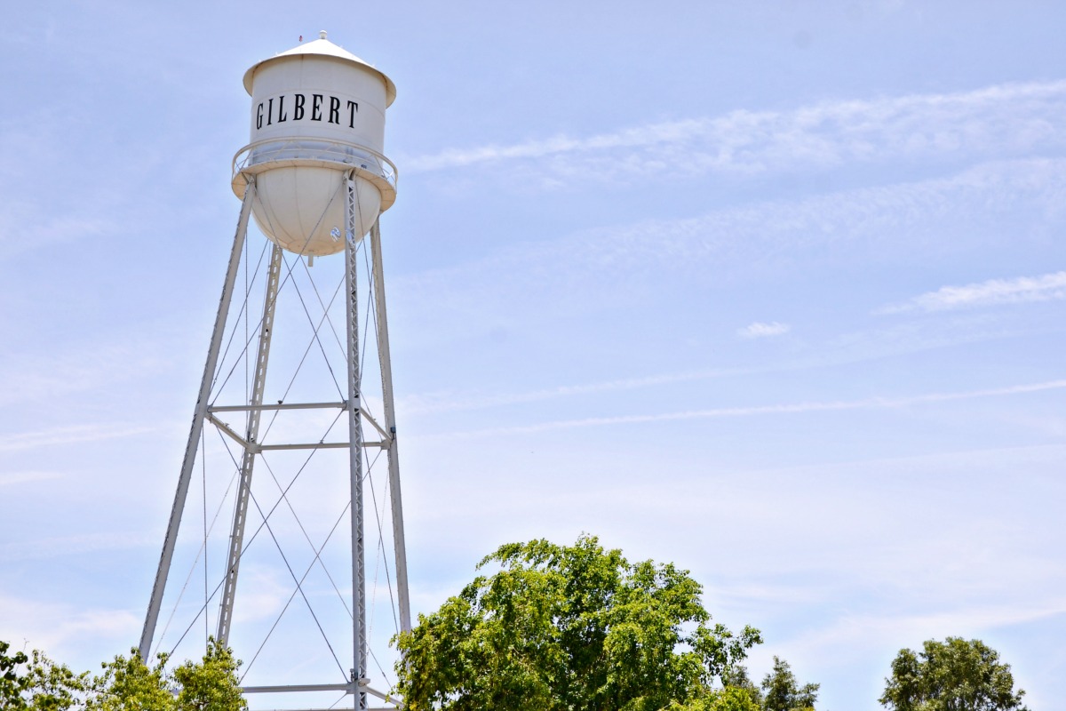 Gilbert Picture